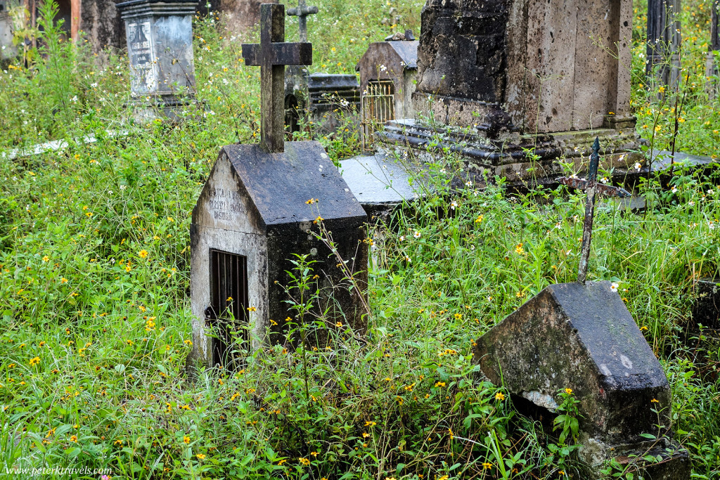 Overgrown Graves, Antiguo Panteón de Xalapa