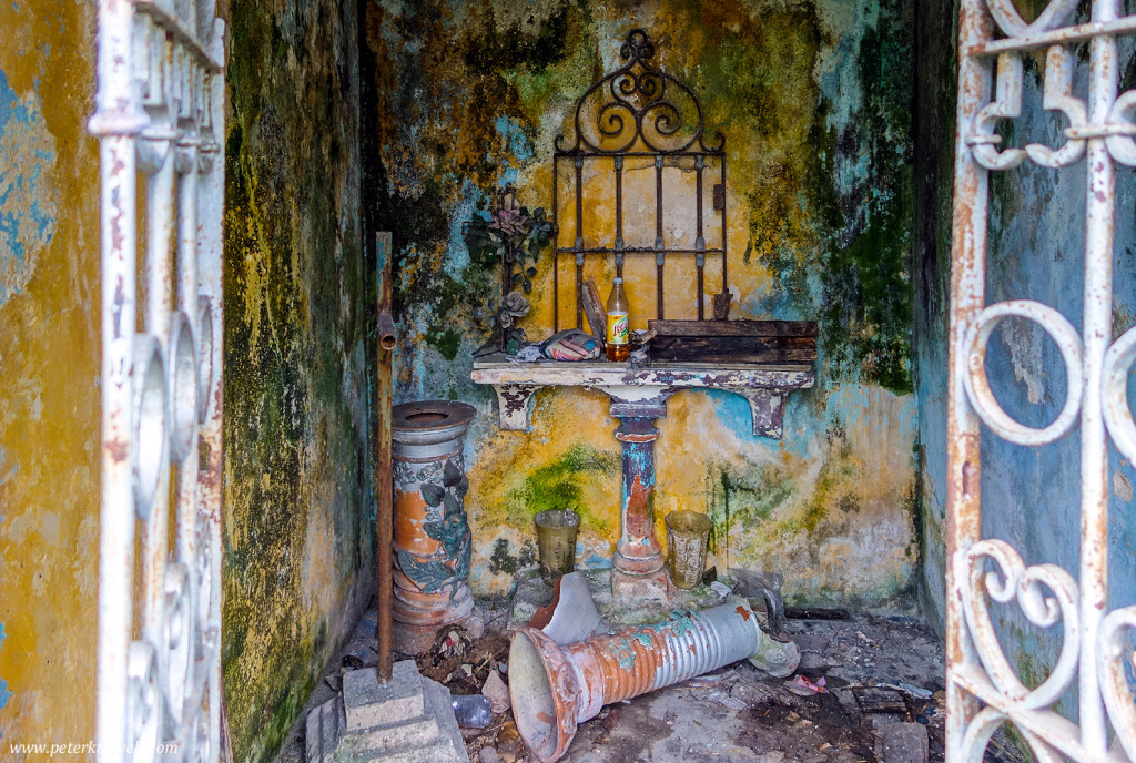 Mold Grows on the Walls of a Tomb, Antiguo Panteón de Xalapa