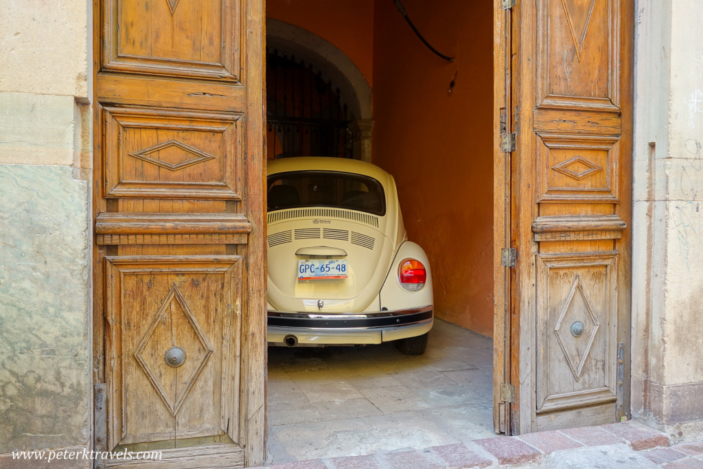 Hidden Beetle, Guanajuato