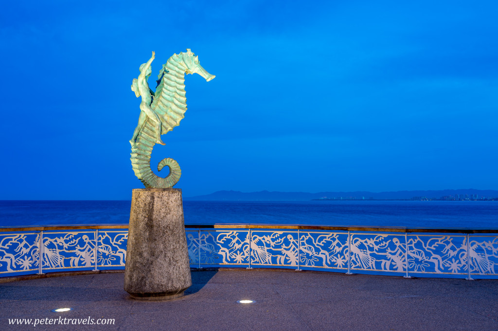 Seahorse at Dawn, Puerto Vallarta