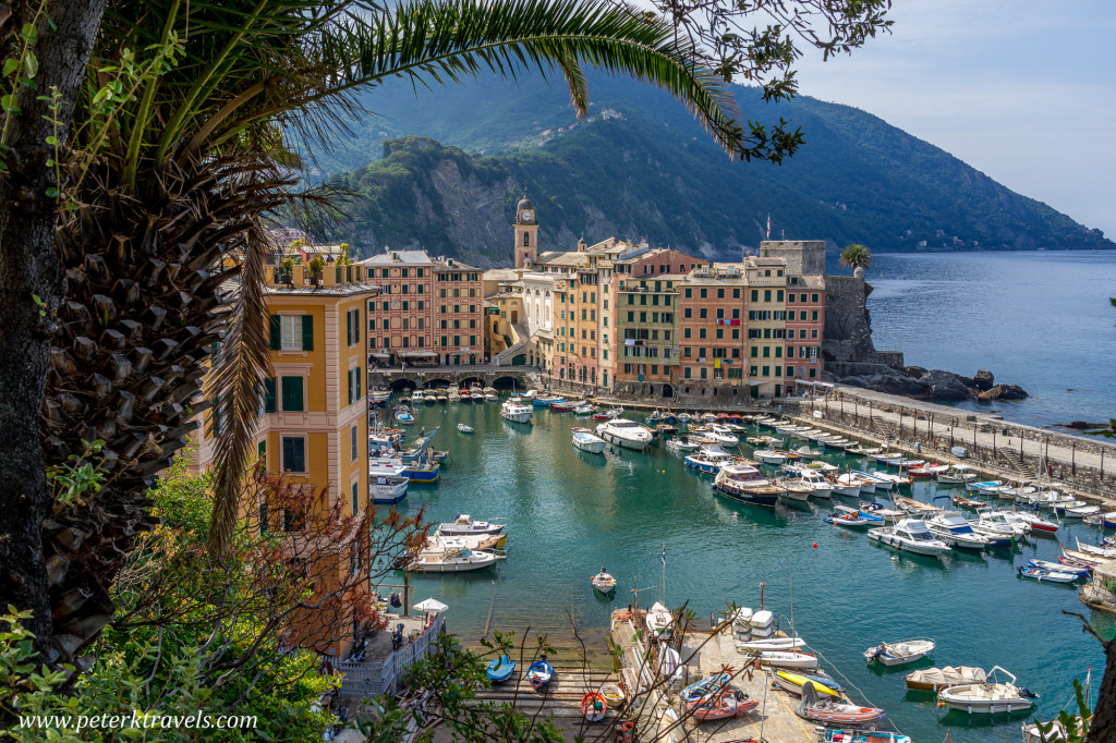 Camogli Harbor