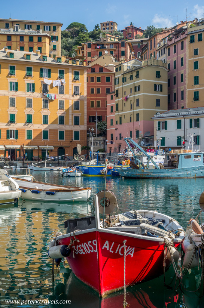 Camogli Harbor