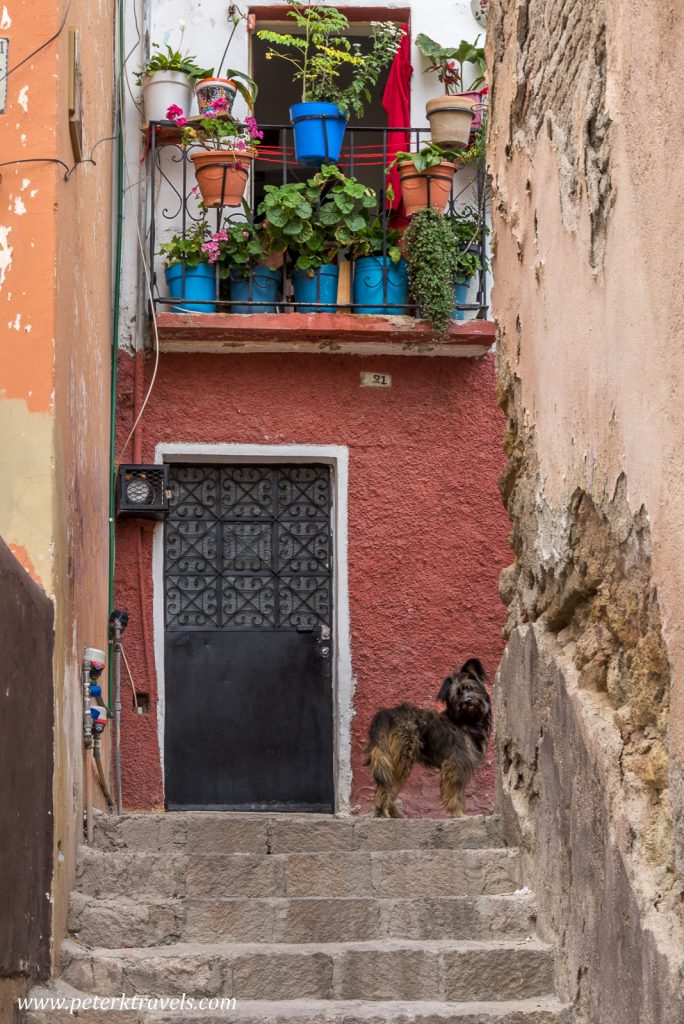 Alley, Guanajuato