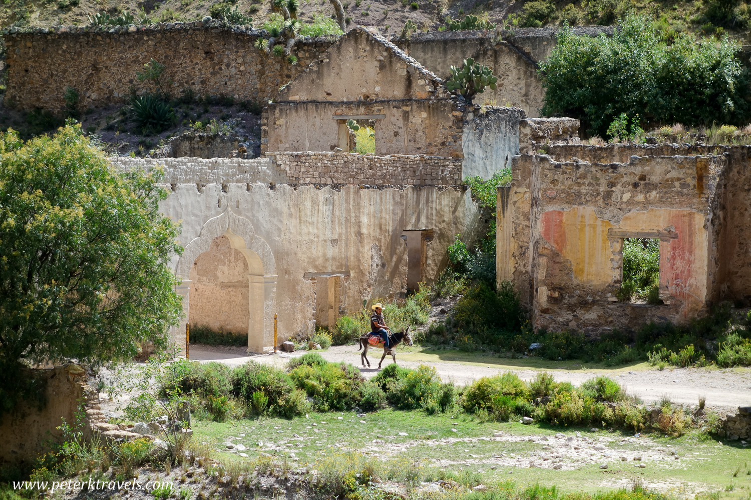 Man on Burro, Real de Catorce